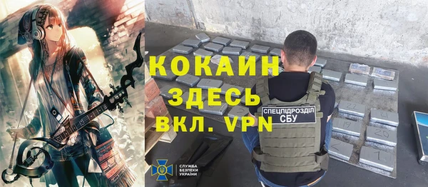 дживик Верея