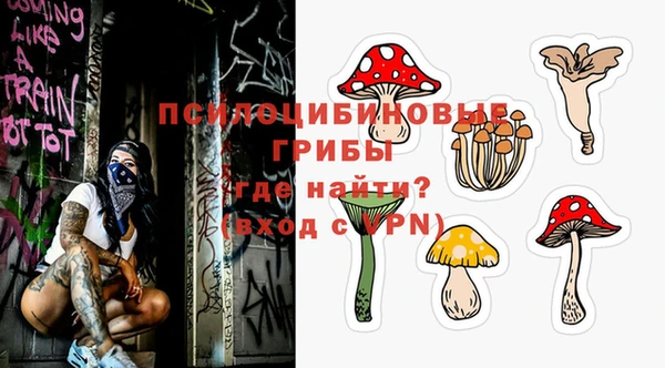 МДПВ Верхнеуральск