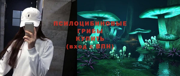 дживик Верея