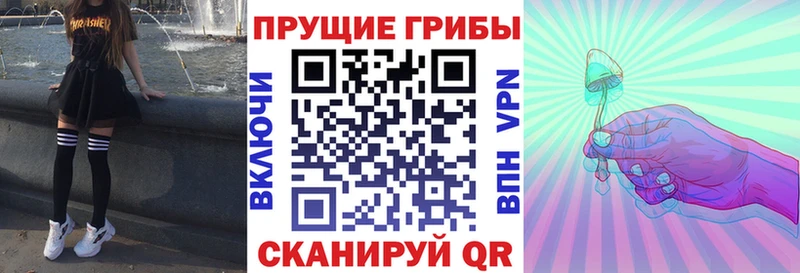 маркетплейс клад  Павловский Посад  Псилоцибиновые грибы Psilocybine cubensis 